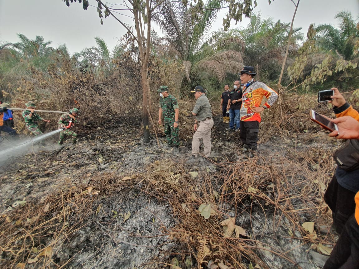 Petugas berupaya memadamkan api Karhutla di Sumatera Selatab