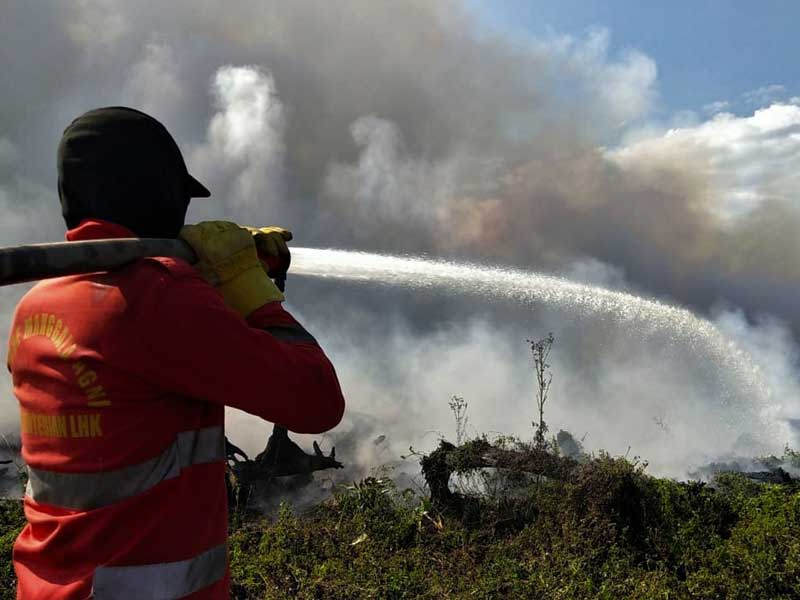 Personel Manggala Agni memadamkan kebakaran lahan gambut di Kecamatan Lalolae, Kolaka Timur, Sulawesi Tenggara, Minggu (15/9/2019). 