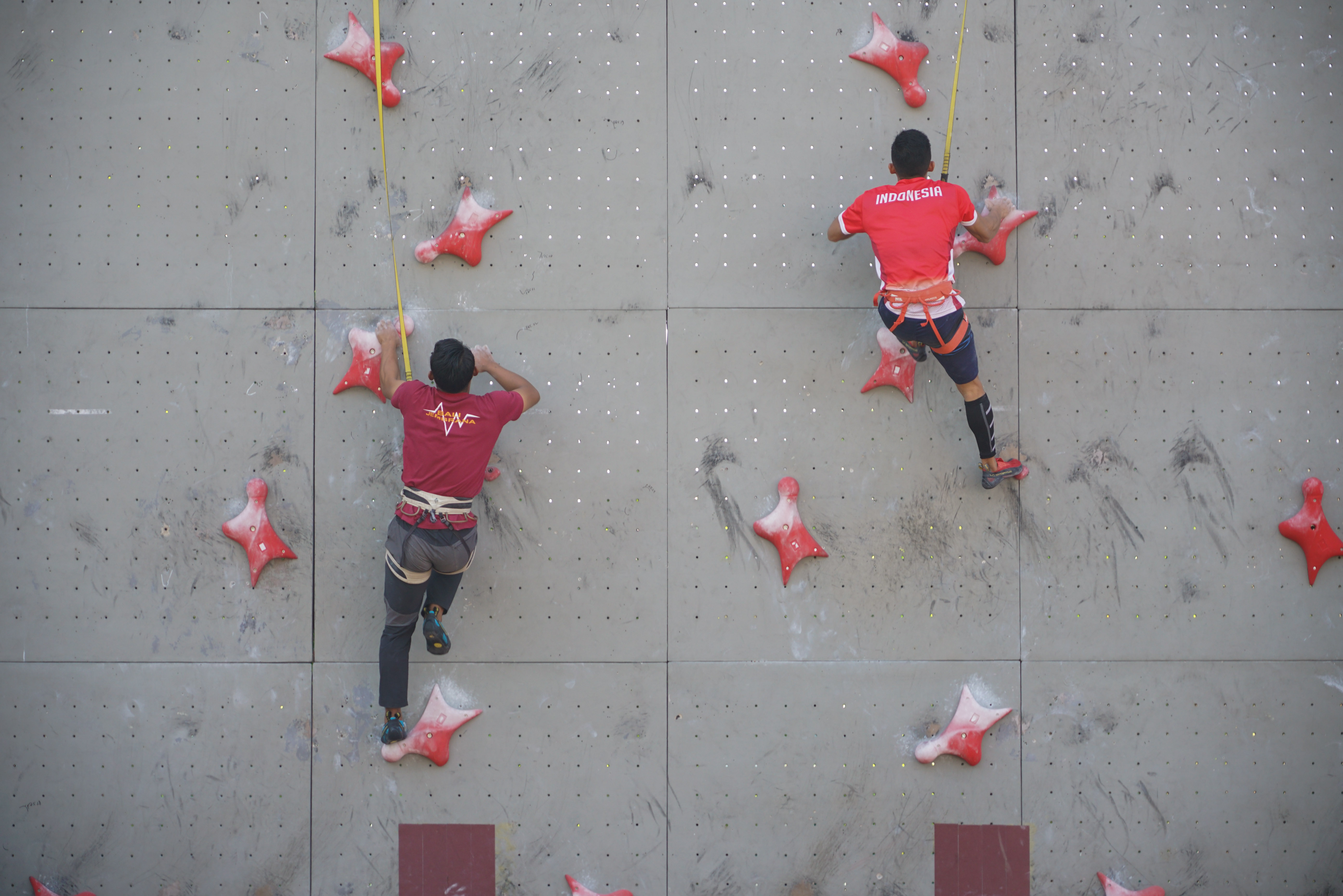  Atlet panjat tebing Indonesia Alfian M. Fajri (kanan) beradu kecepatan pada nomor speed saat simulasi pra-Olimpiade. 