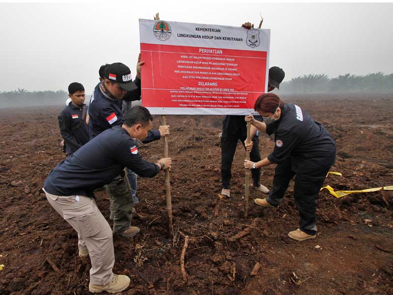 Sejumlah petugas Ditjen Penegakan Hukum KLHK menyegel lahan perusahaan asal Malaysia PT Adei Plantation and Industry di Kabupaten Pelalawan.