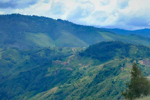 Pesawat twin otter DHC6 dengan nomor registrasi PKCDC milik pihaknya hilang kontak dalam penerbangan dari Timika menuju Ilaga.