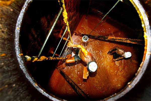 Pungutan Ekspor CPO Ditunda hingga 2020