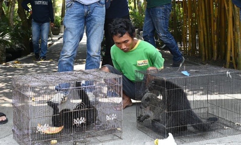 Pelaku perdagangan satwa dilindungi, JM saat diamankan petugas Direktorat Reserse Kriminal Khusus (Ditreskrimsus) Polda Sumsel 