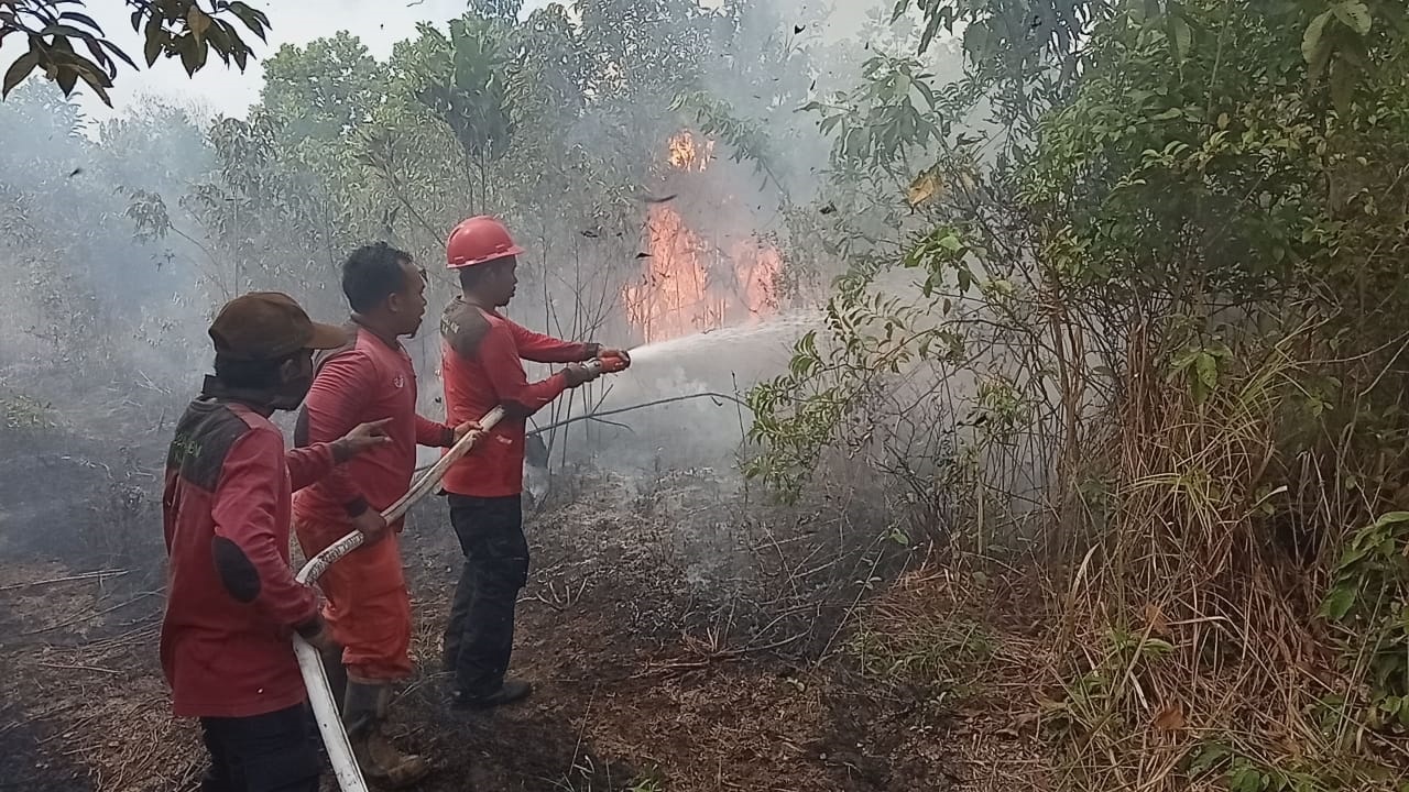 Petugas mencoba memadamkan api di area lahan yang terbakar di Jambi