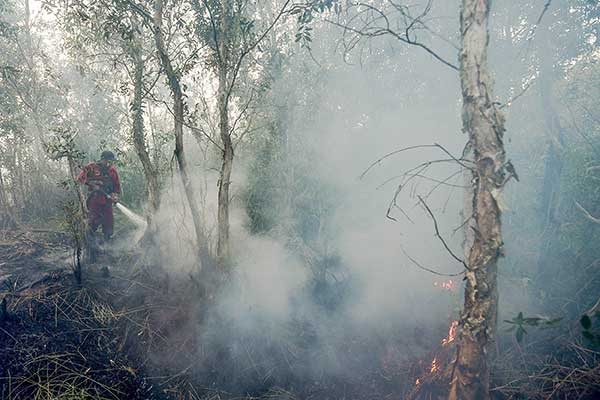 Kebakaran Lahan di Palembang