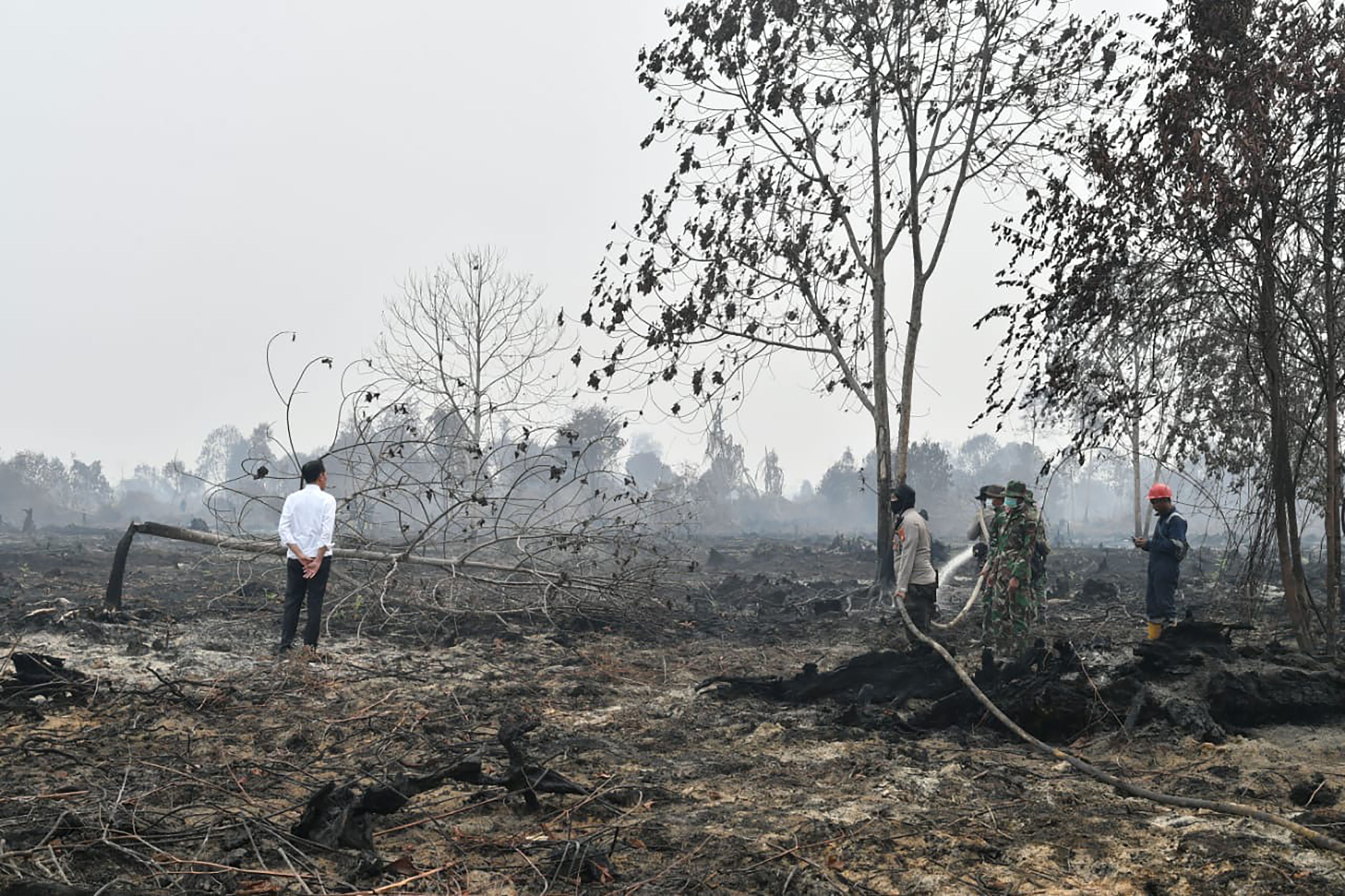  Presiden Joko Widodo melakukan inspeksi hutan dan lahan yang terbakar di Pekanbaru, Riau, Selasa (17/9). 
