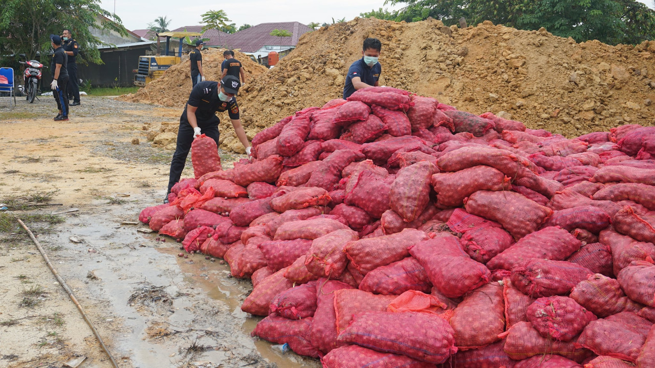 Bea Cukai Kuala Langsa memusnahkan barang bukti hasil penindakan berupa 3.000 karung bawang merah ilegal.