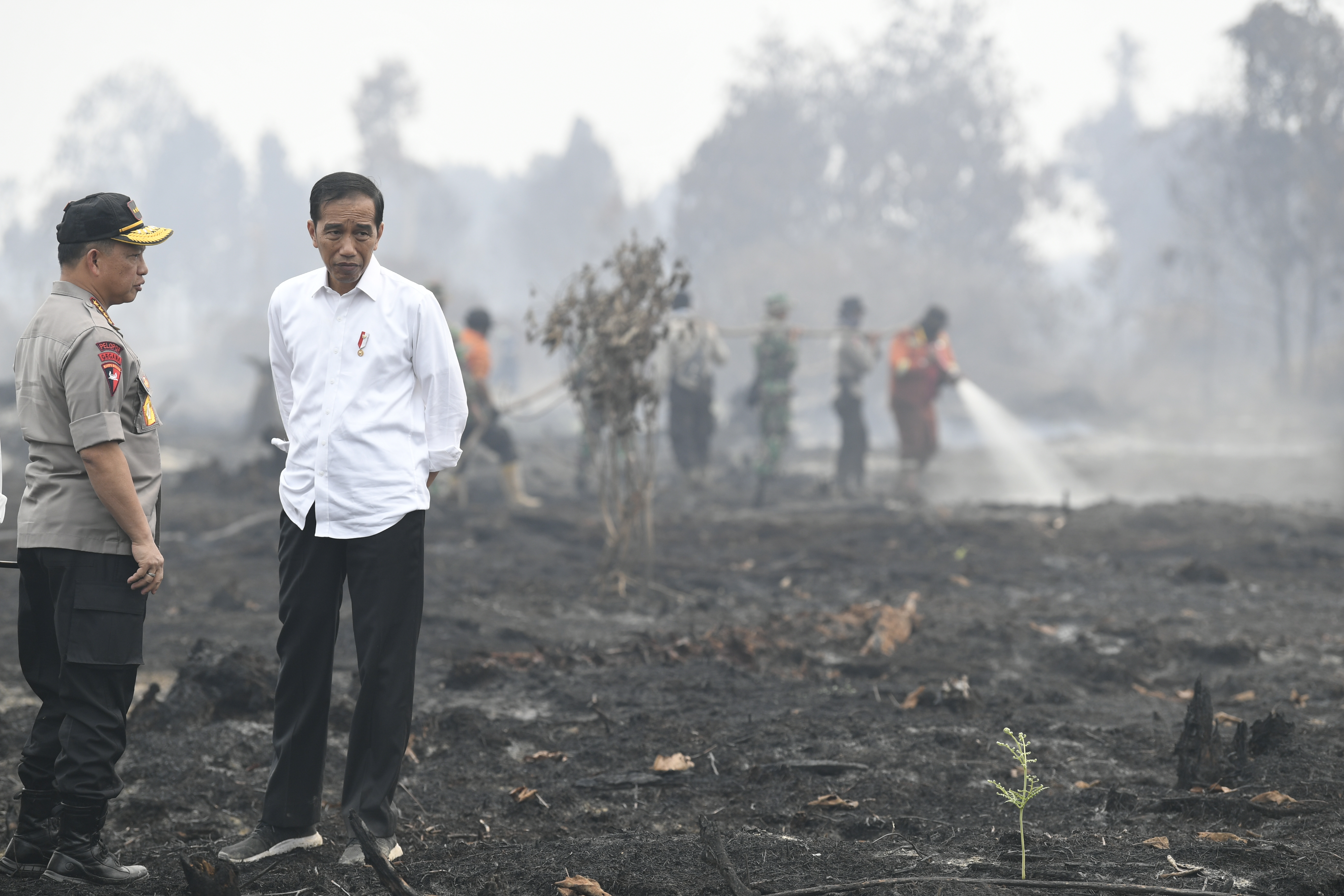 Presiden Joko Widodo (kanan) dan Kapolri Jenderal Tito Karnavian meninjau penanganan kebakaran lahan di Riau, Selasa (17/9/2019). 