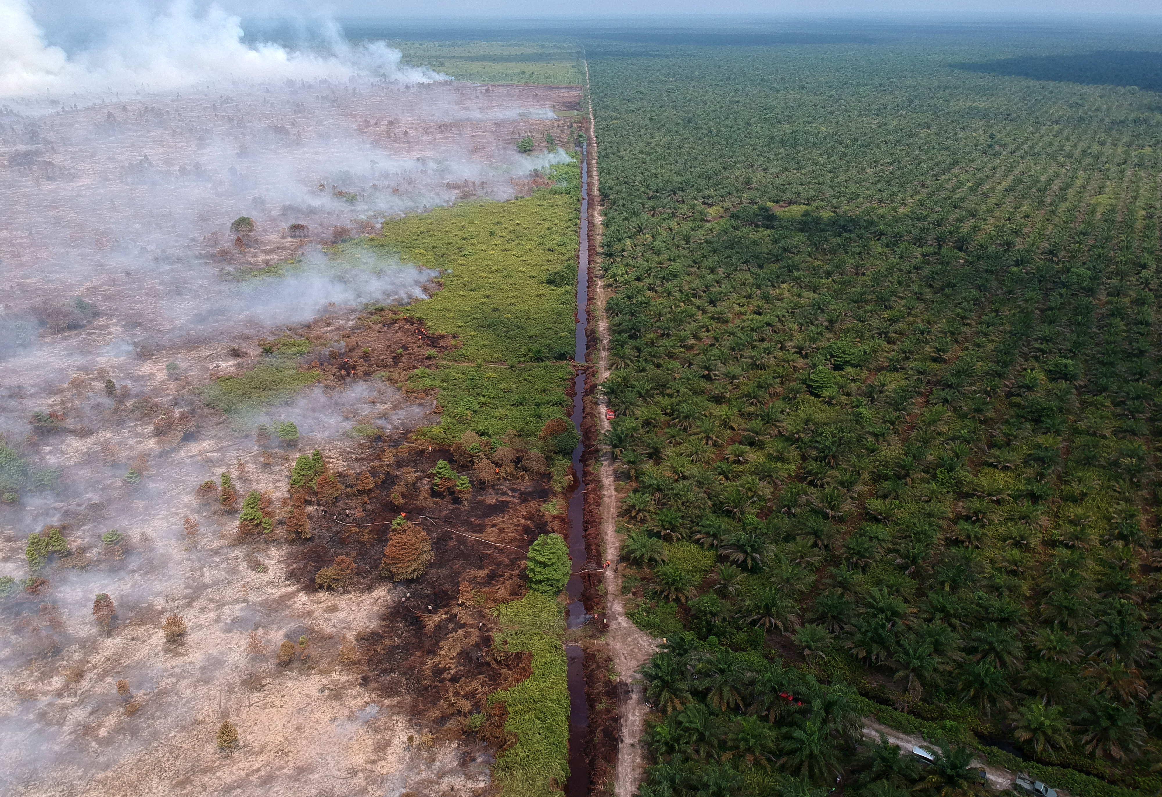  Foto udara perkebunan kelapa sawit milik salah satu perusahaan (kanan) dan kebakaran lahan gambut (kiri) Kumpeh Ulu, Muarojambi, Jambi.