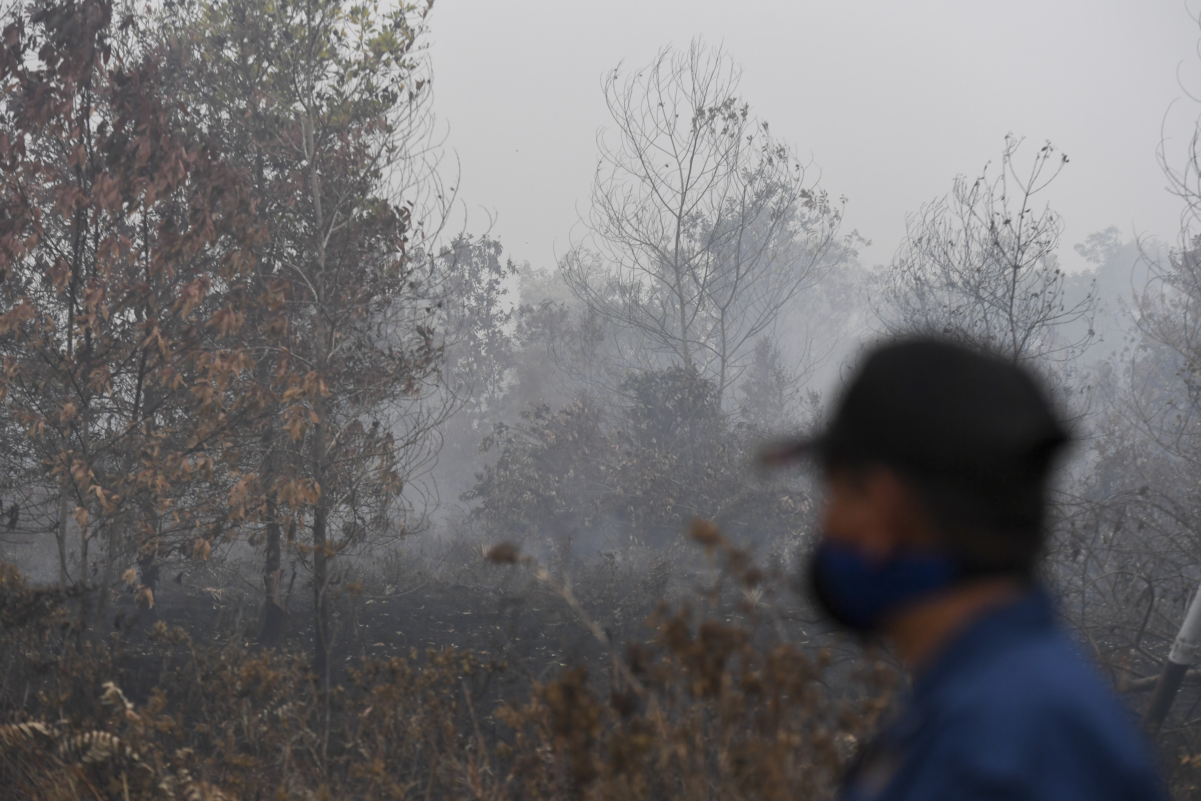 Petugas pemadam kebakaran melihat lahan yang terbakar di daerah Panarung, Palangka Raya, Kalimantan Tengah, Selasa (17/09)