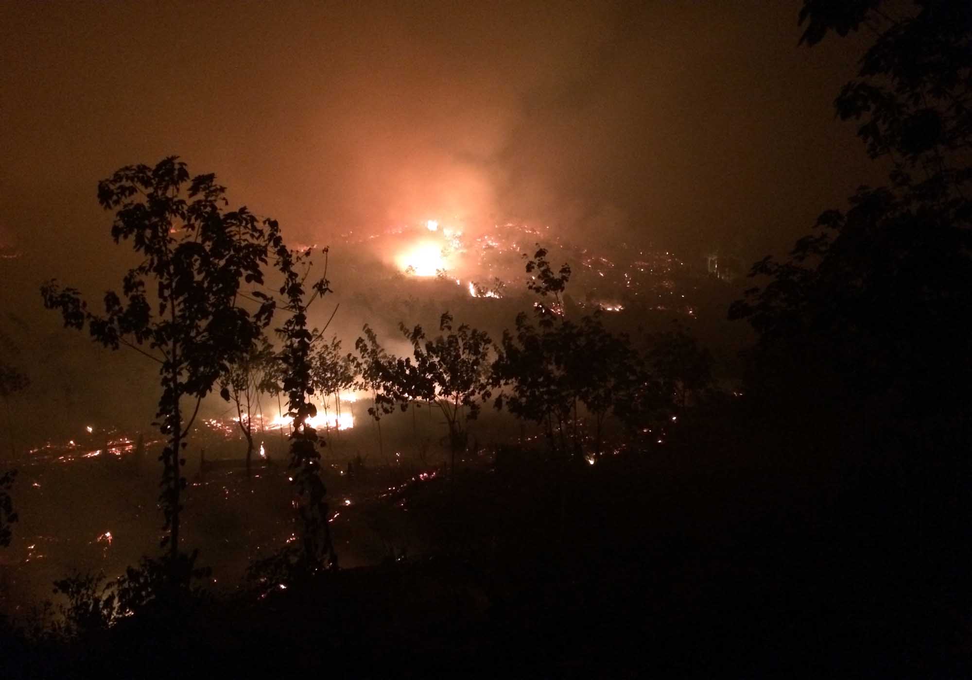 Suasana kebakaran hutan dan lahan di Jambi pada malam hari.