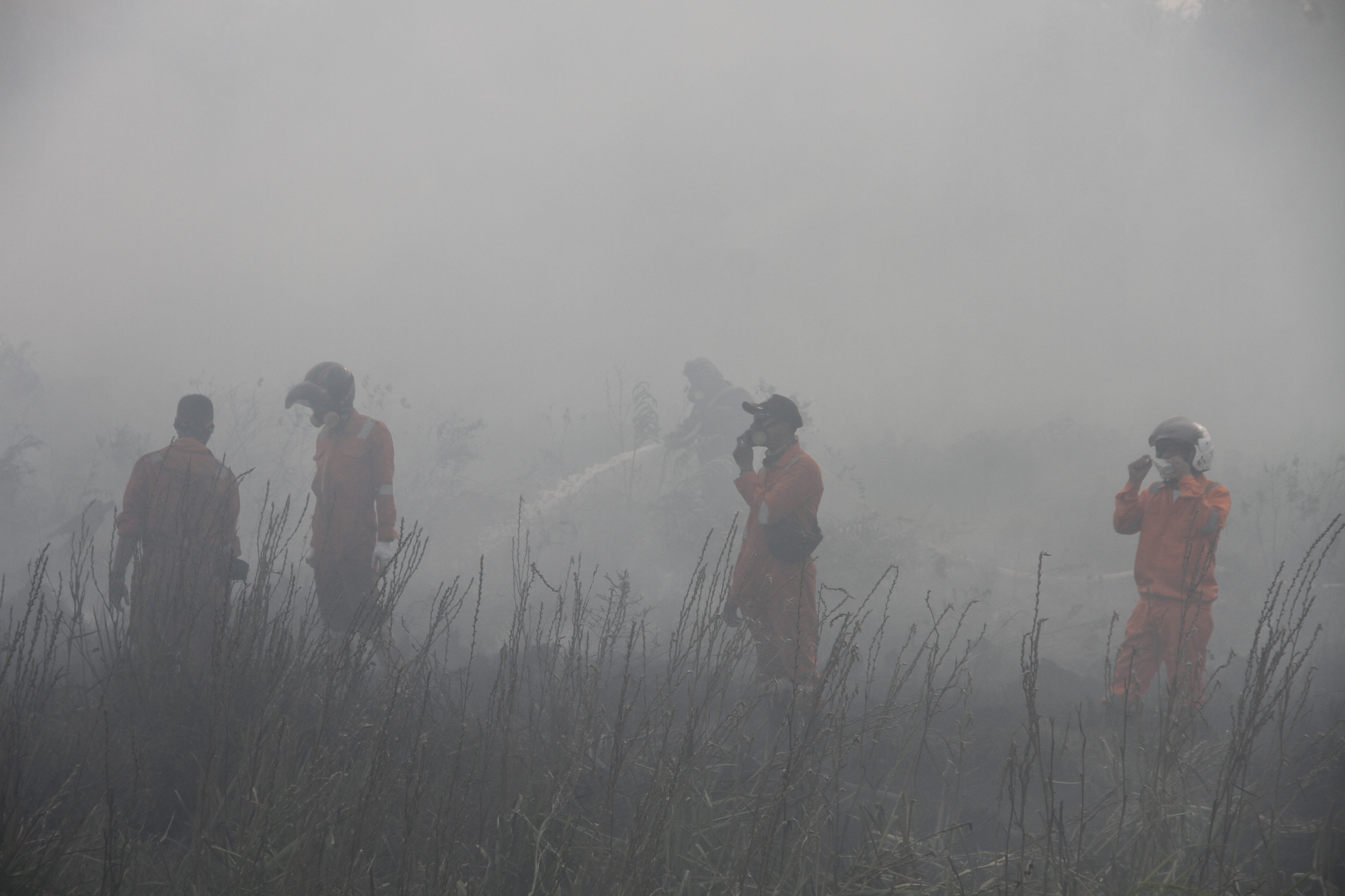Petugas darat BPBD Kalsel berjibaku memadamkan kebakaran lahan gambut. 