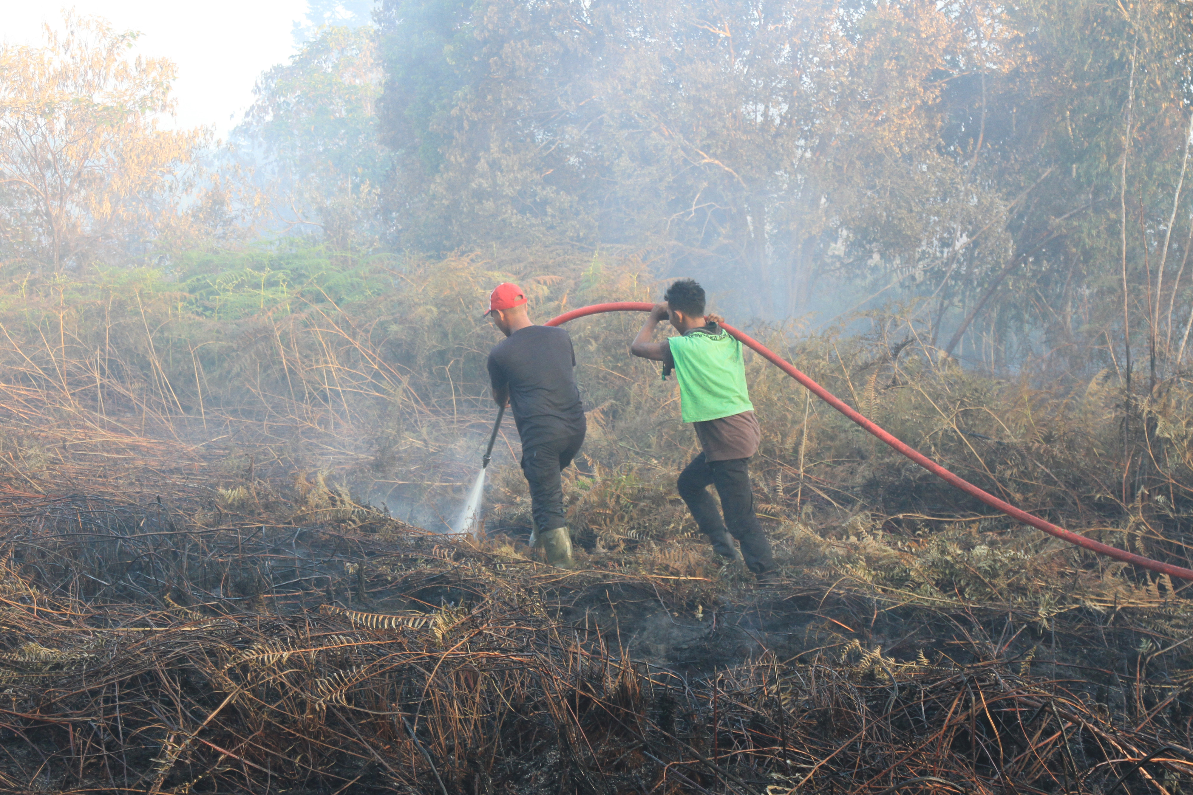 Petugas  berusaha memadamkan lahan gambut yang terbakar di Sumatera, akhir pekan lalu.