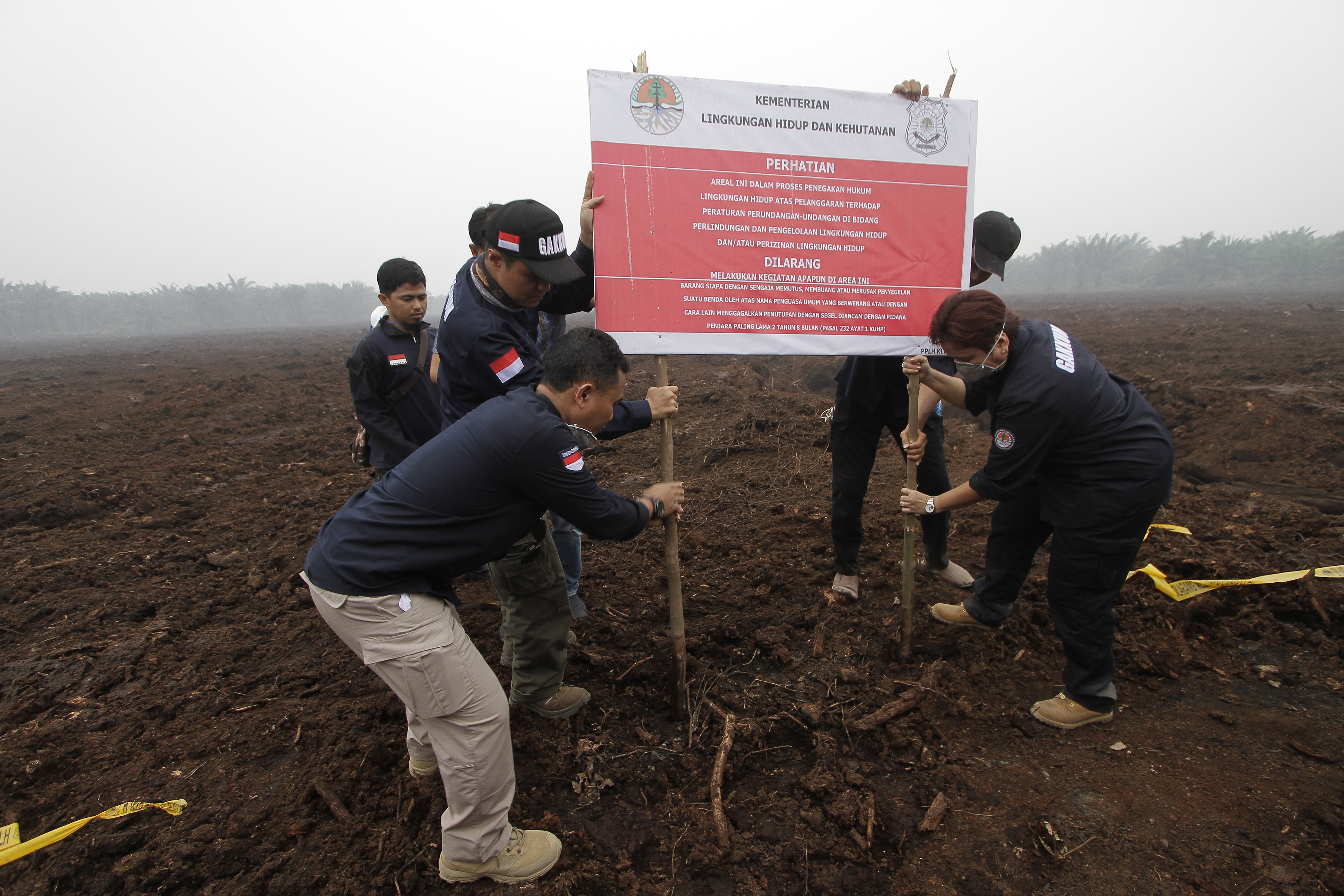 Petugas KLHK menyegel lahan perusahaan asal Malaysia PT Adei Plantation and Industry di Riau, Jumat (13/9/2019).