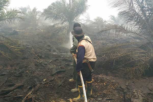 Dana Desa Bisa Dipakai untuk Karhutla