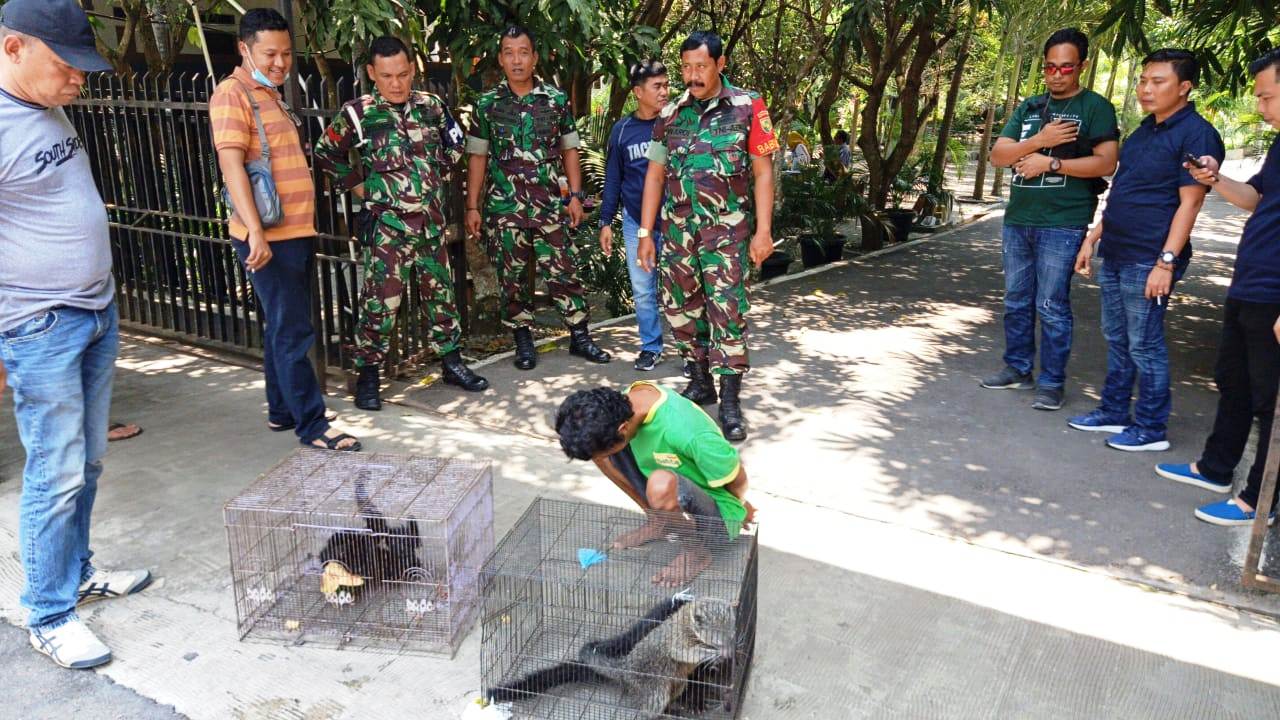 Polda Sumsel Ungkap Jual Beli Satwa Liar Dilindungi