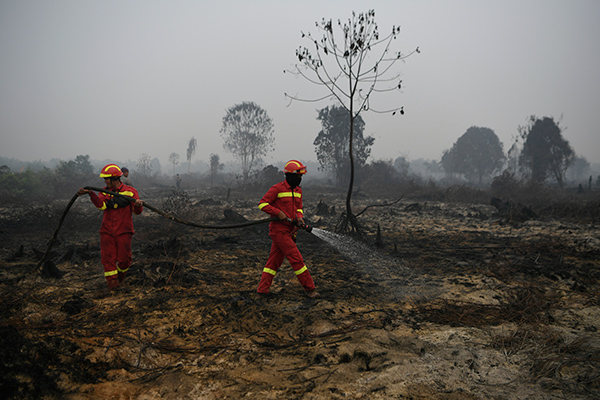 Petugas menangani kebakaran hutan dan lahan di Desa Merbau, Kecamatan Bunut, Pelalawan, Riau