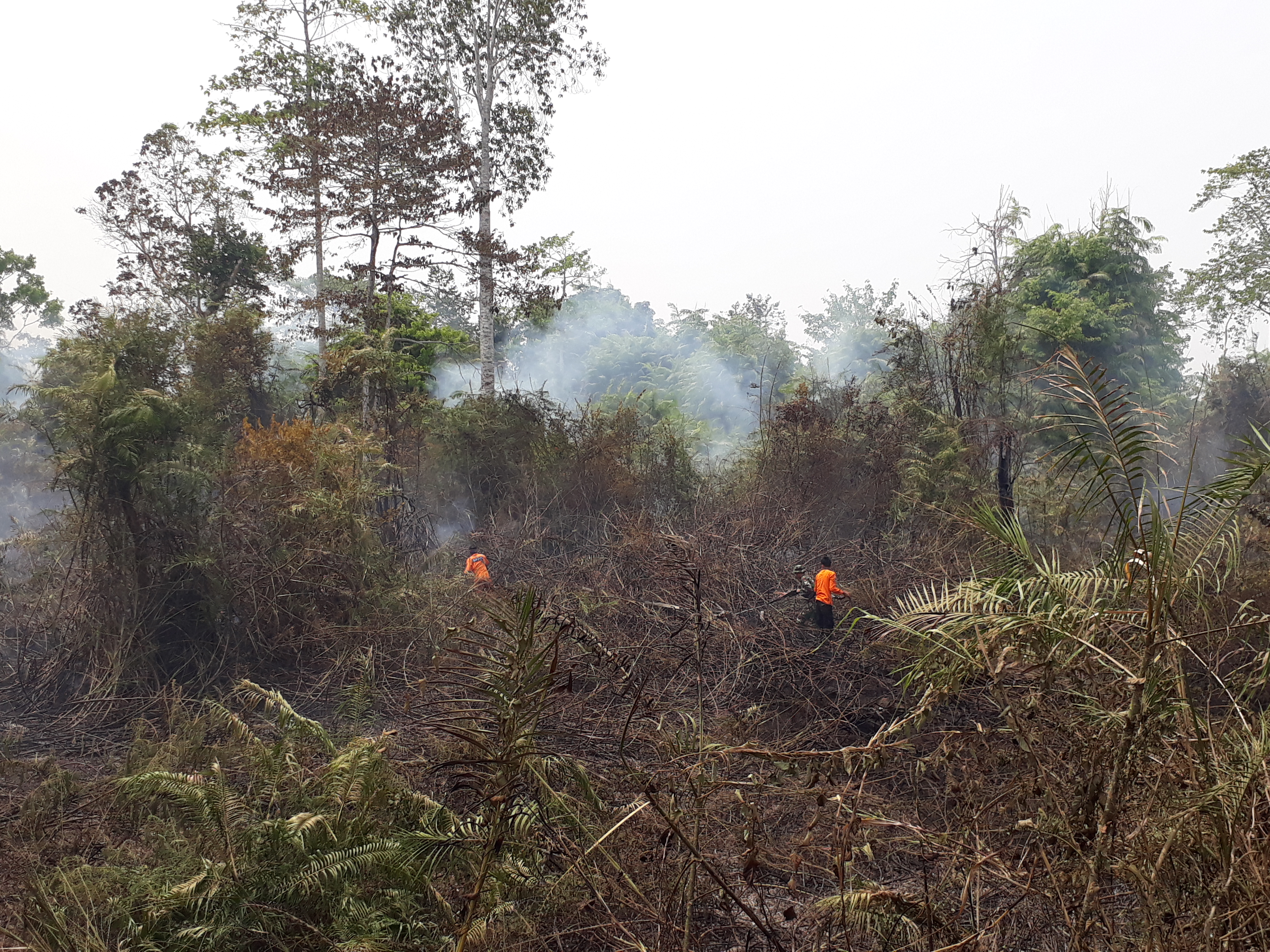 Petugas dari satgas karhutla sedang berupaya memadamkan kebakaran lahan dan hutan di Sekayu, Musi Banyuasin, Sumsel, Minggu (22/9).