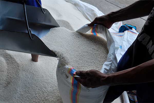 Ilustrasi -- Stok beras lokal di Pasar Induk Beras Cipinang, Jakarta, Selasa (12/5).