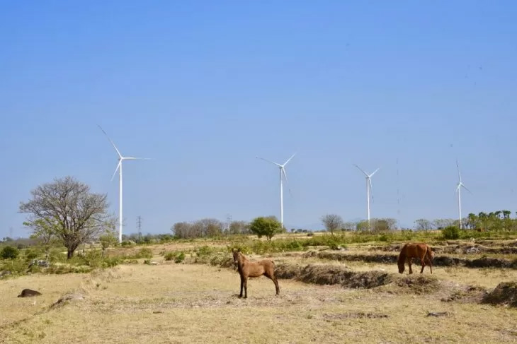 Pembangkit Listrik Tenaga Bayu (PLTB) Tolo I 