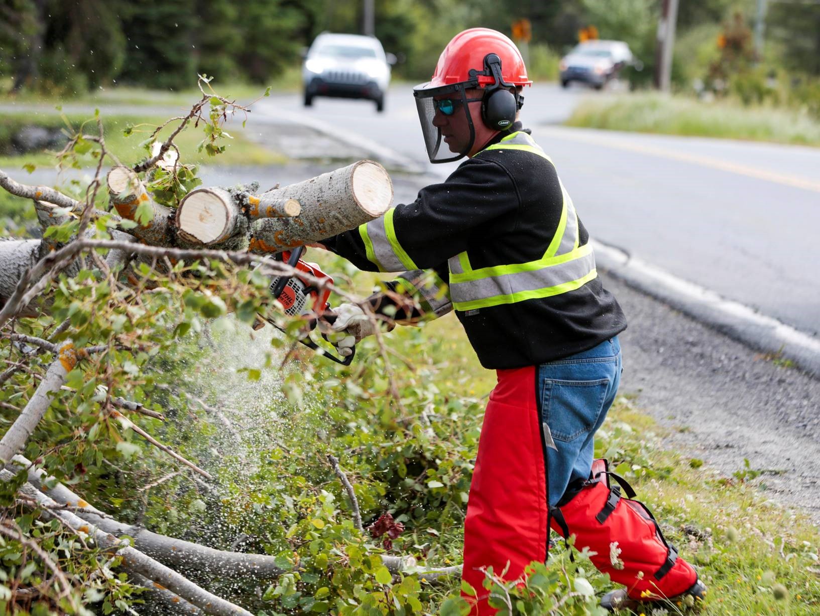 Petugas membersihan pohon yang robih akibat Badai Dorian di Nova Scotia, Kanada