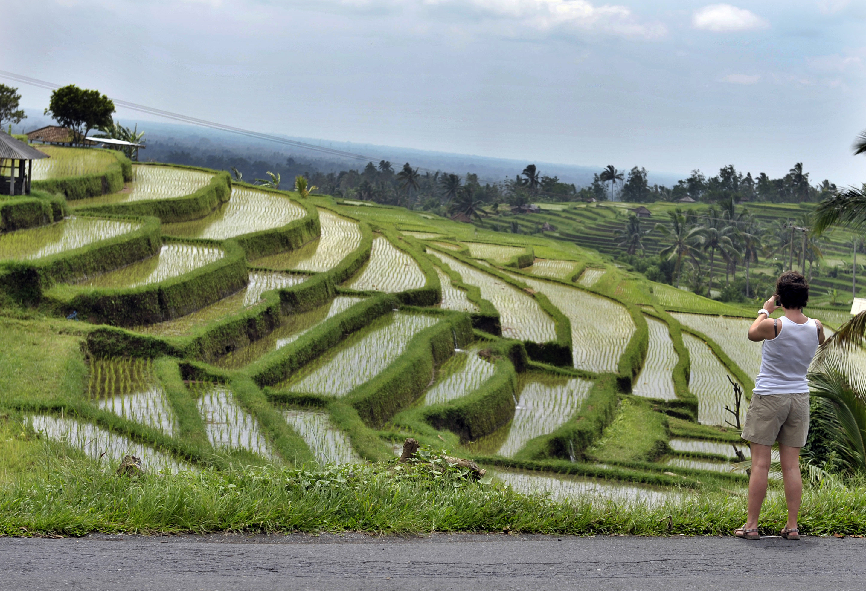  SAWAH DAN SUBAK