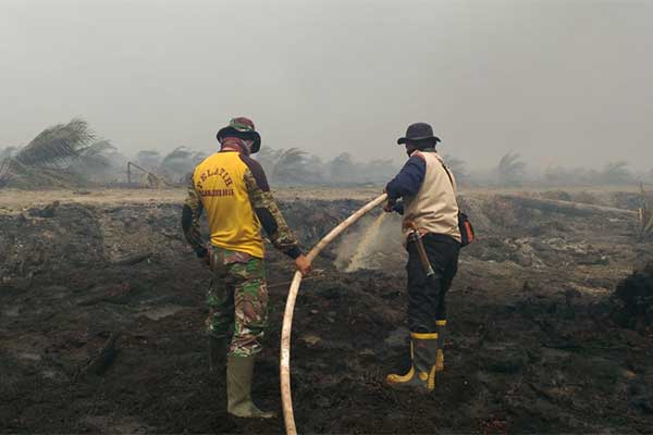 Ilustrasi -- Penanganan Kebakaran Hutan