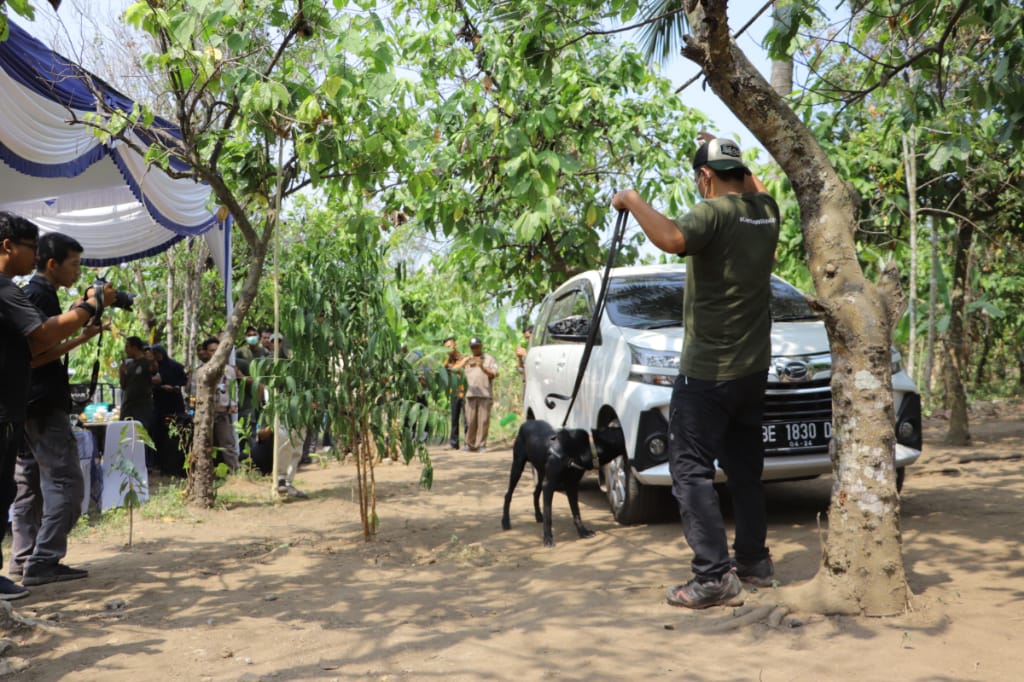 Peragaan aksi anjing terlatih mendeteksi di Pusat Instalasi K9 Deteksi Satwa di Wildlife Kalianda, Jumat (6/9)
