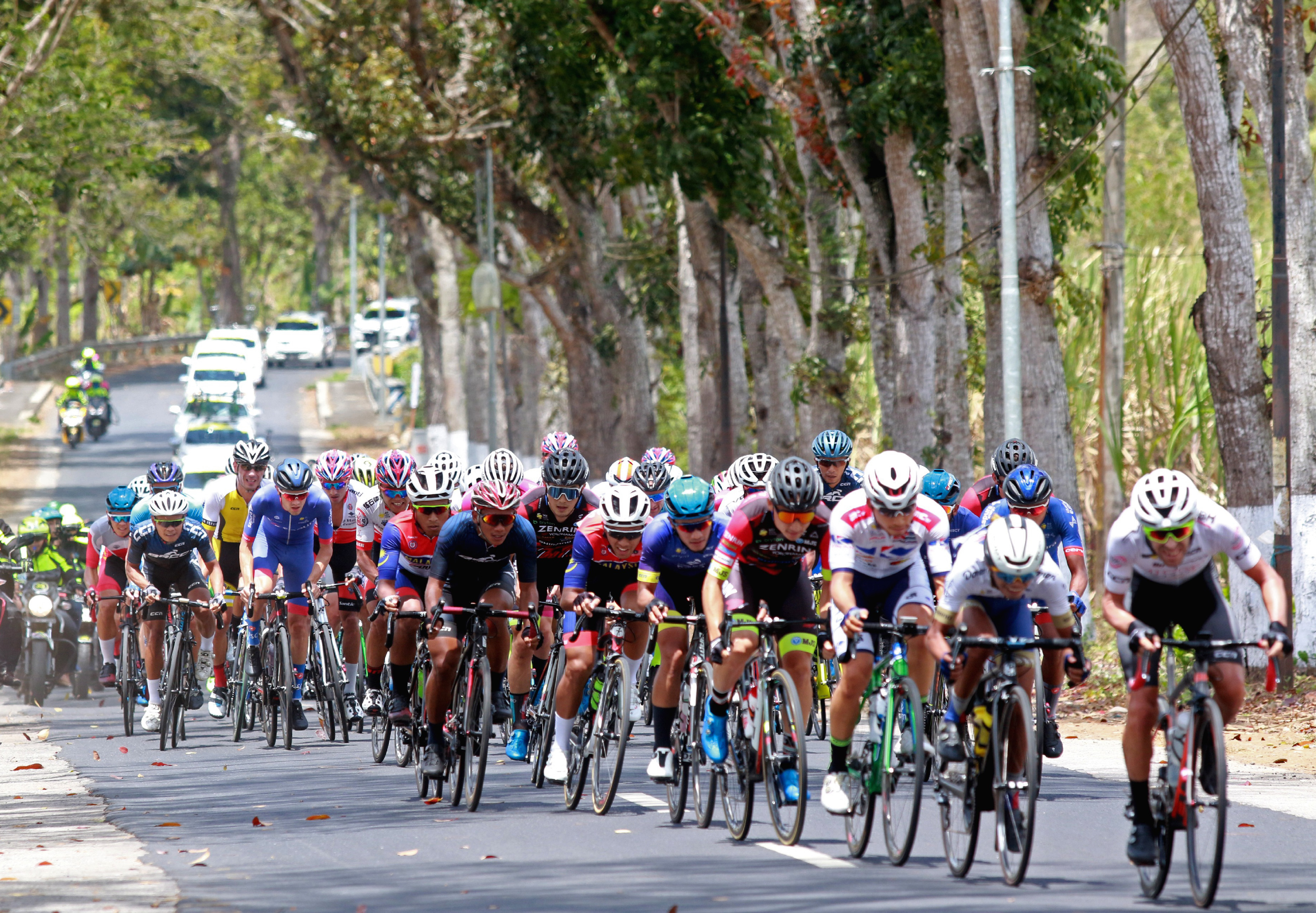  Pebalap sepeda beradu cepat pada Kejuaraan Internasional Tour de Banyuwangi Ijen (ITdBI) 2019 di Banyuwangi, Jawa Timur, Rabu (25/9).