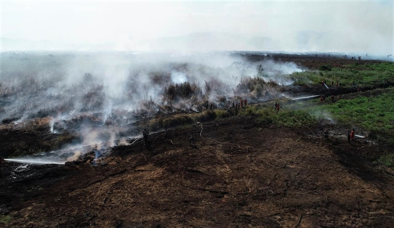 BPPT Diminta Cari Teknologi Cocok Tanam di Lahan Gambut