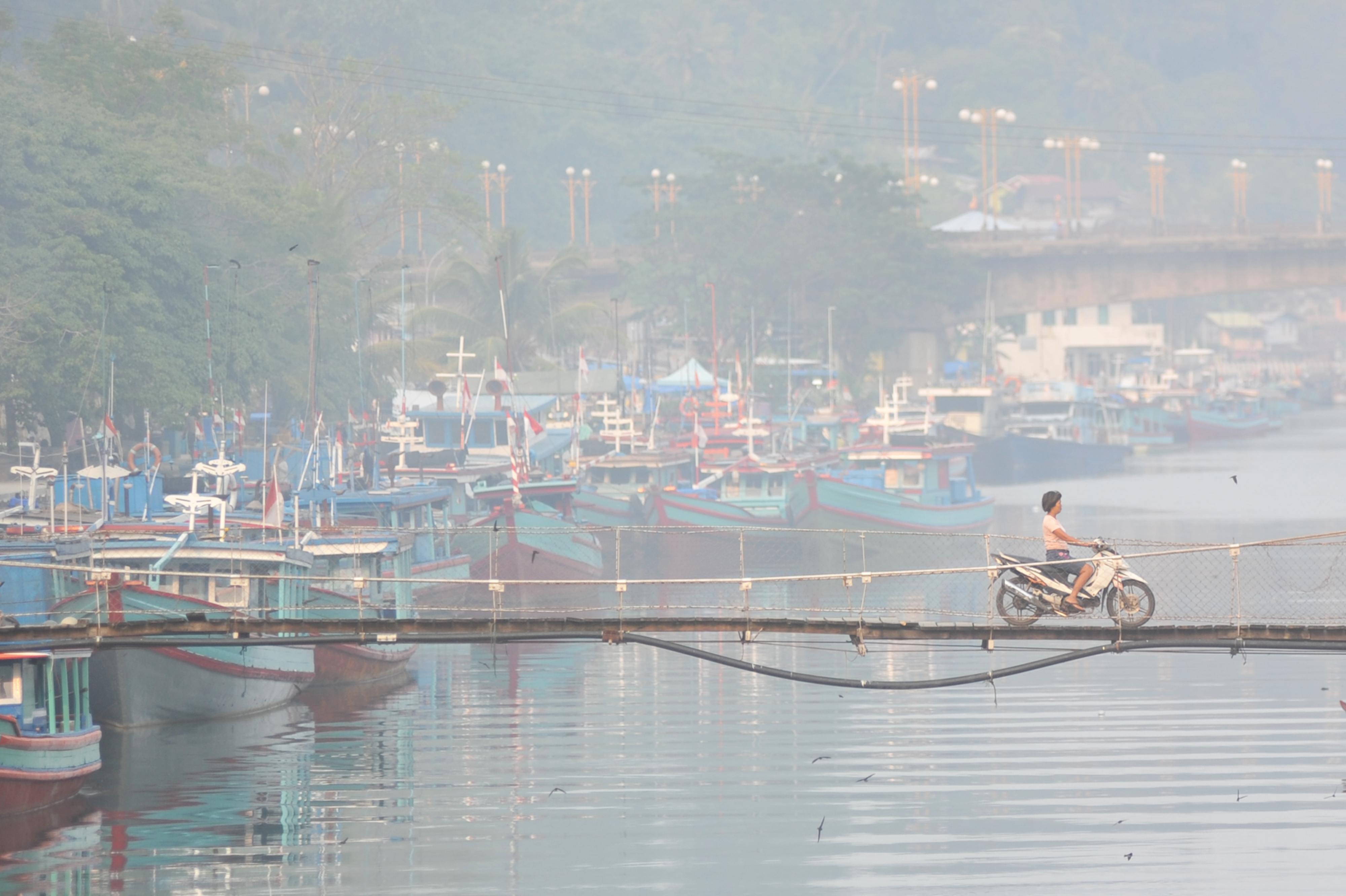 Dampak Karhutla di Sumatera Barat