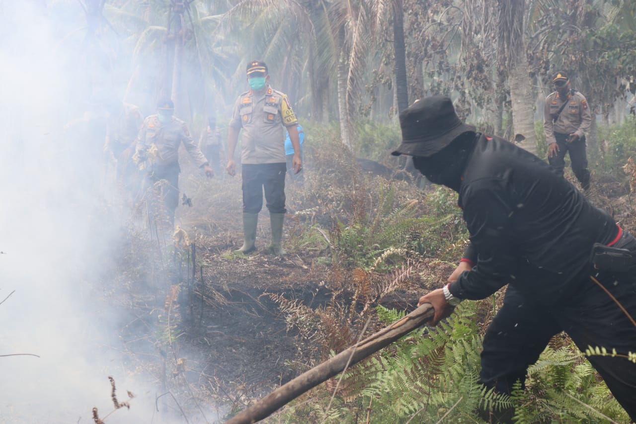 Aksi pemadaman satgas siaga darurat kebakaran hutan dan lahan (Karhutla) di Riau.