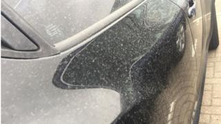 Waspadai Debu di Atas Permukaan Cat Mobil