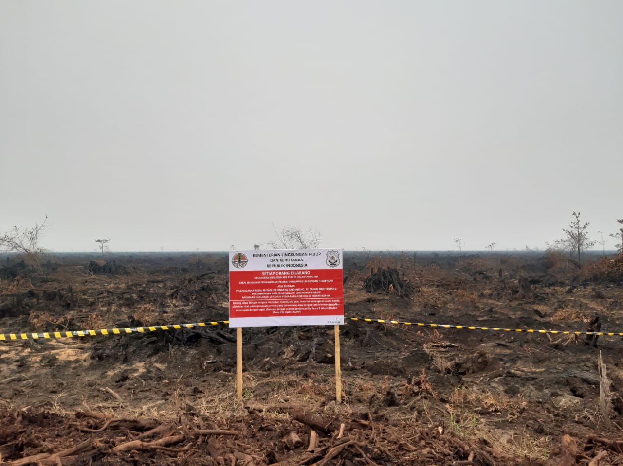 Penyegelan lahan milik PT> RKK di Jambil oleh KLHK