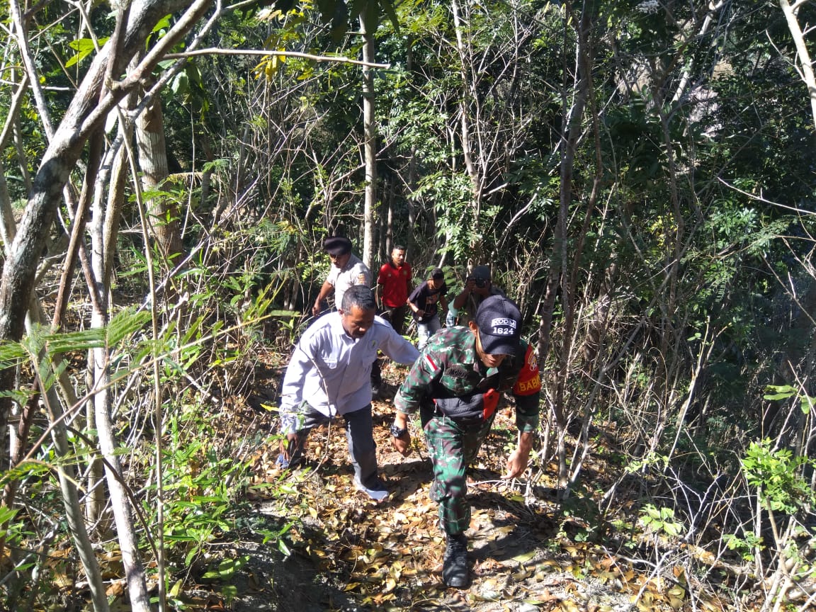 Pengejaran pelaku pembakaran kawasan hutan dan lahan di Lembata. Nusa Tenggara Timur.