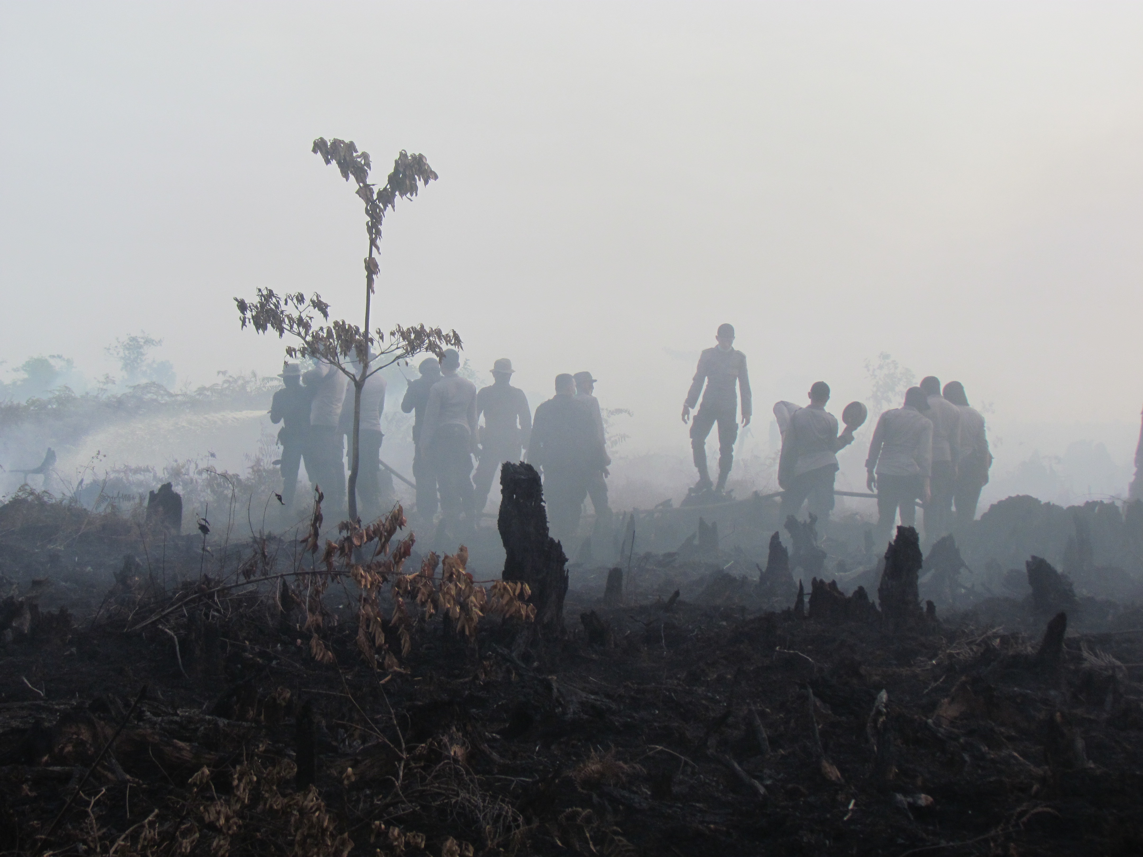  Kebakaran lahan terjadi di Desa Anjungan Dalam, Kabupaten Mempawah, Kalimantan Barat