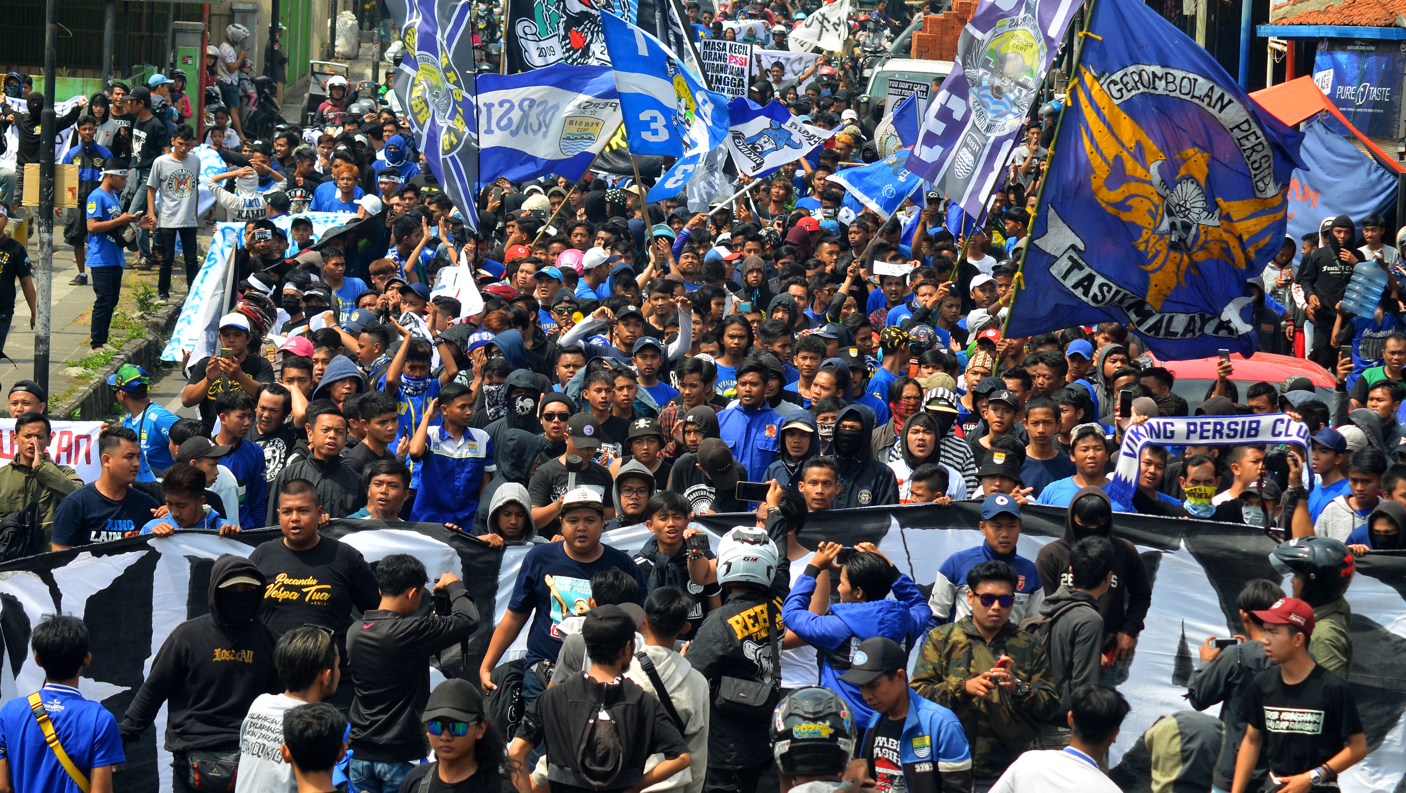 Suporter Persib Bandung, Viking