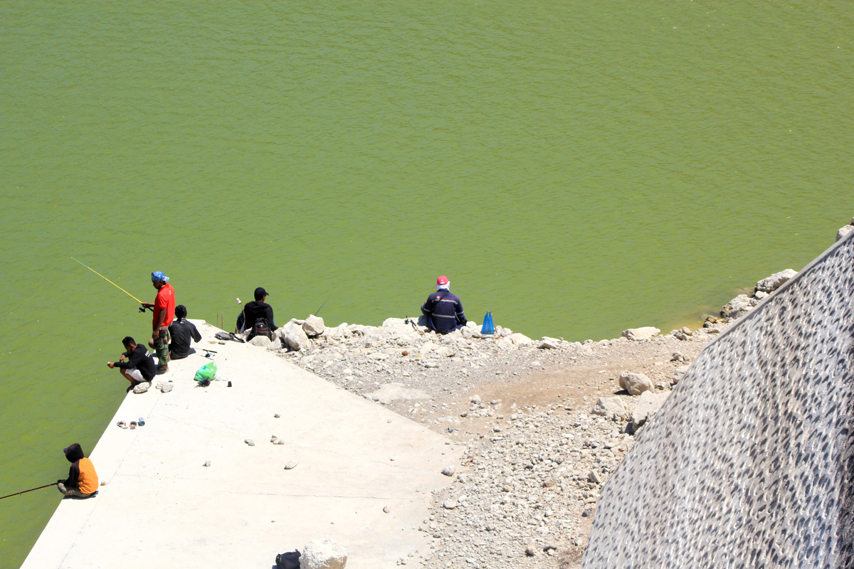 Waduk Tilong Desa Oelnasi, Kecamatan Kupang Tengah, Kabupaten Kupang mengalami penurunan debit air akibat kemarau.