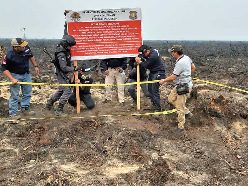 Pengawas dan penyidik dari Penegakan Hukum Kementerian Lingkungan Hidup dan Kehutanan (KLHK) menyegel lahan konsesi seluas 1.200 hektare mil