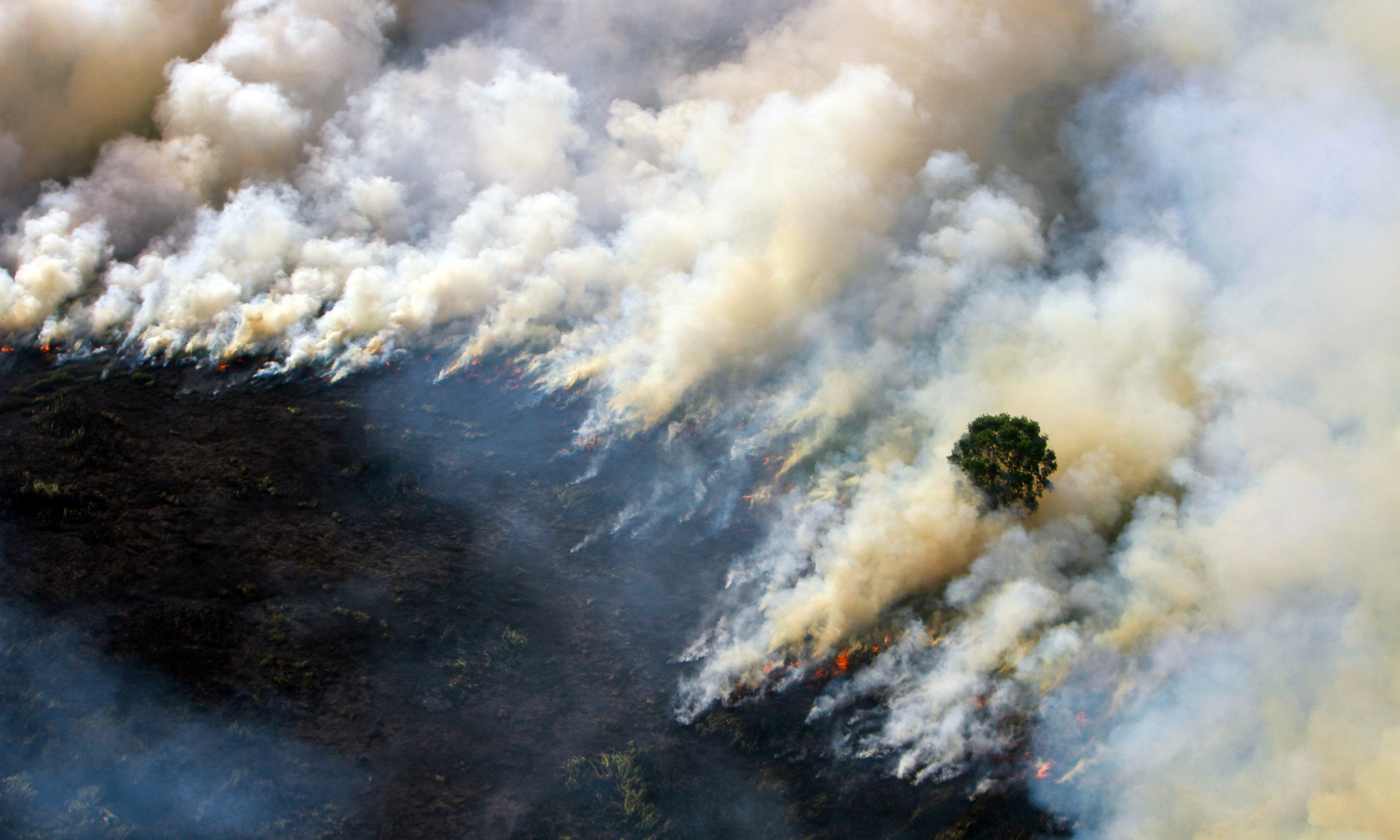 Foto udara kebakaran hutan dan lahan di Kabupaten Tapin, Kalimantan Selatan, Kamis (29/8).