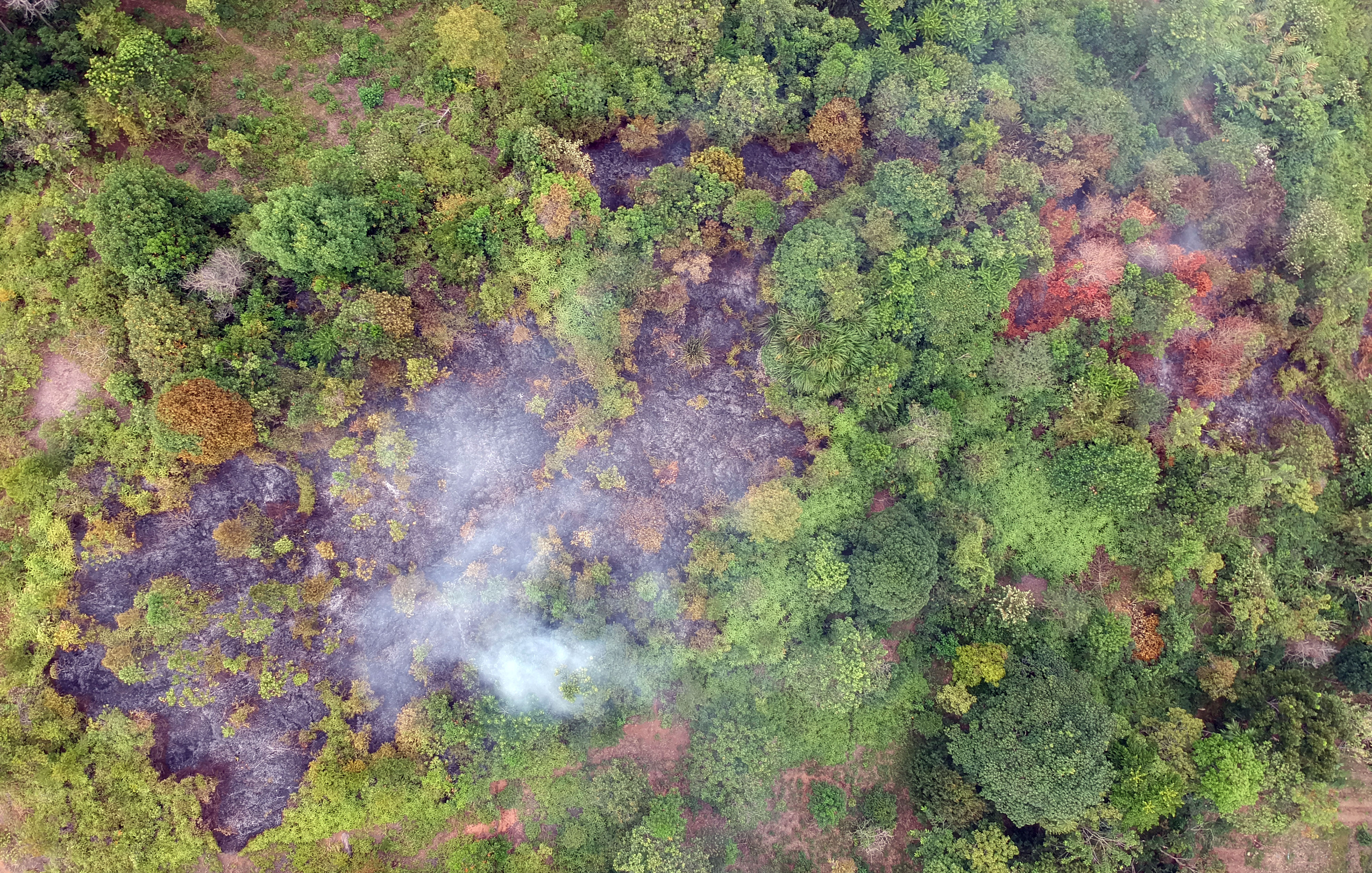 Asap terlihat di lokasi pembakaran lahan, di perbukitan Sungai Bangek, Padang, Sumatra Barat