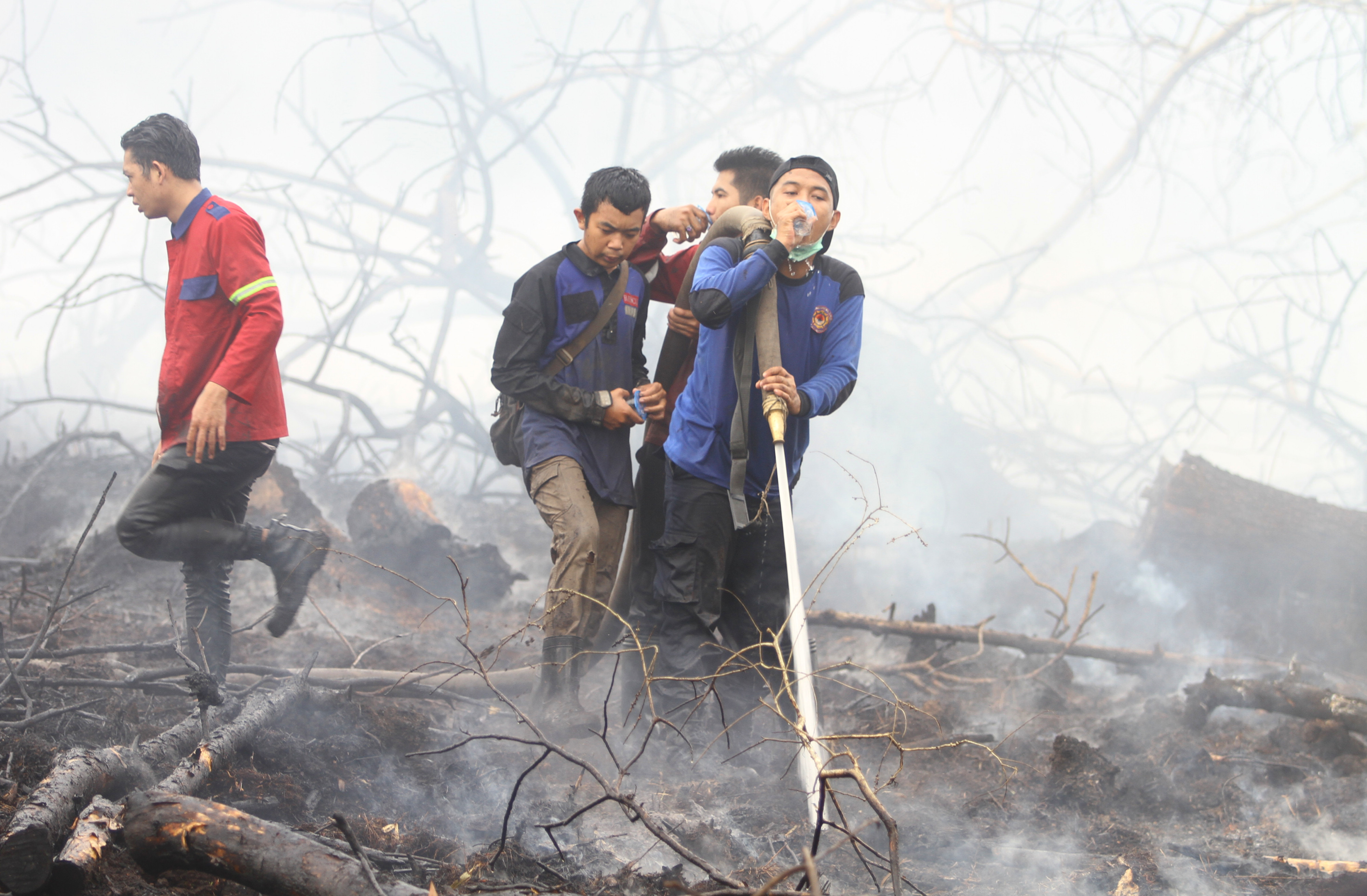  Relawan pemadam kebakaran berupaya memadamkan kebakaran hutan dan lahan di Desa Handil Usang, Kabupaten Kapuas, Kalimantan Tengah