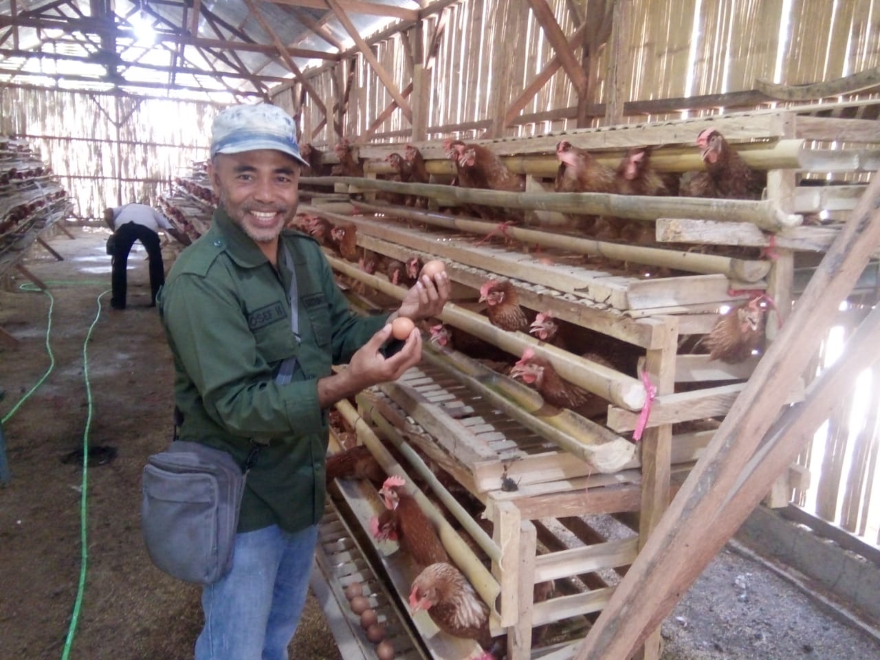 Yosep Hendarsa, Ketua BUMDes Desa Ribang, Flores, memamerkan usaha ternak ayam petelurnya kepada Media Indonesia, Senin (23/9).