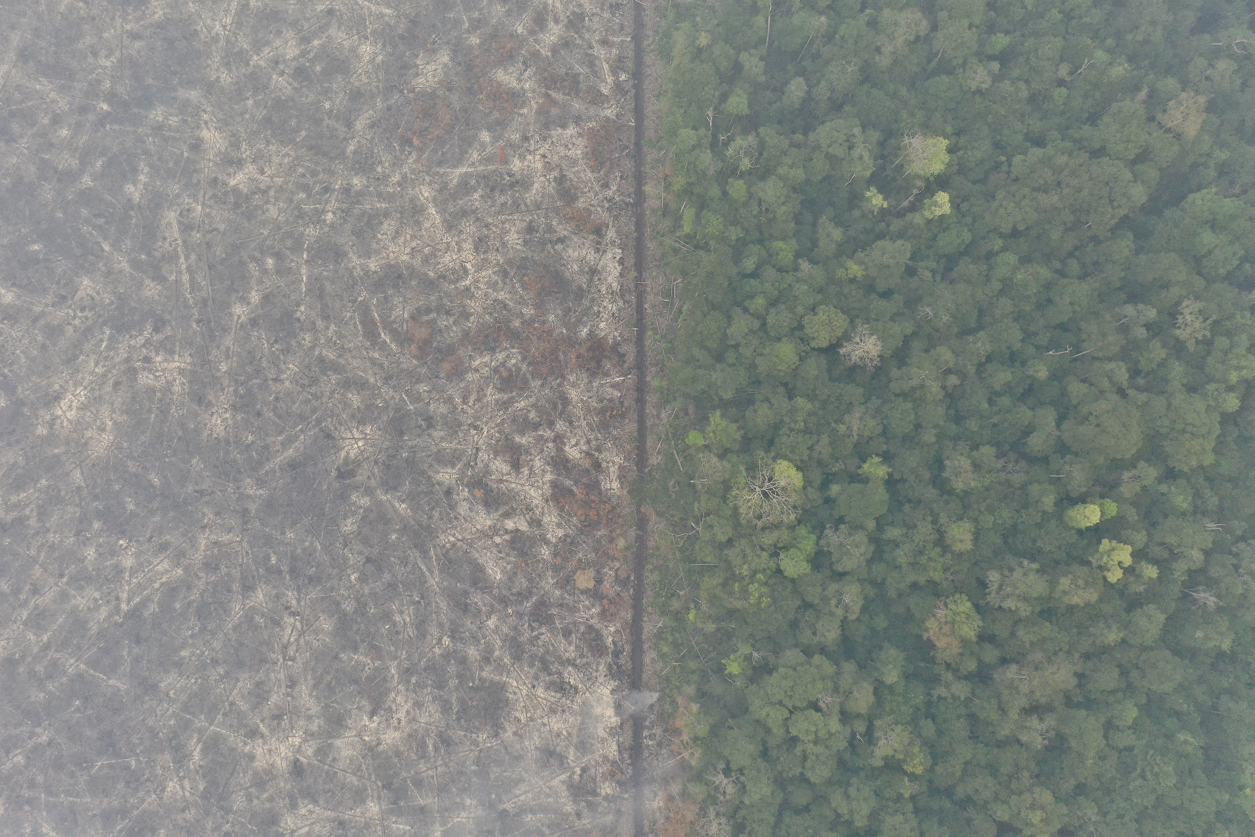  Foto udara lahan hutan Taman Nasional Sebangau yang telah terbakar di Palangka Raya, Kalimantan Tengah.