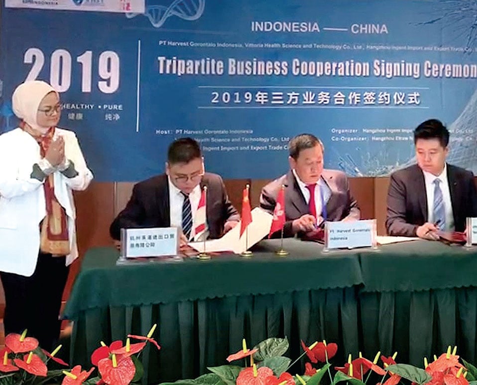 Jamu Herbal Tembus Pasar Tiongkok