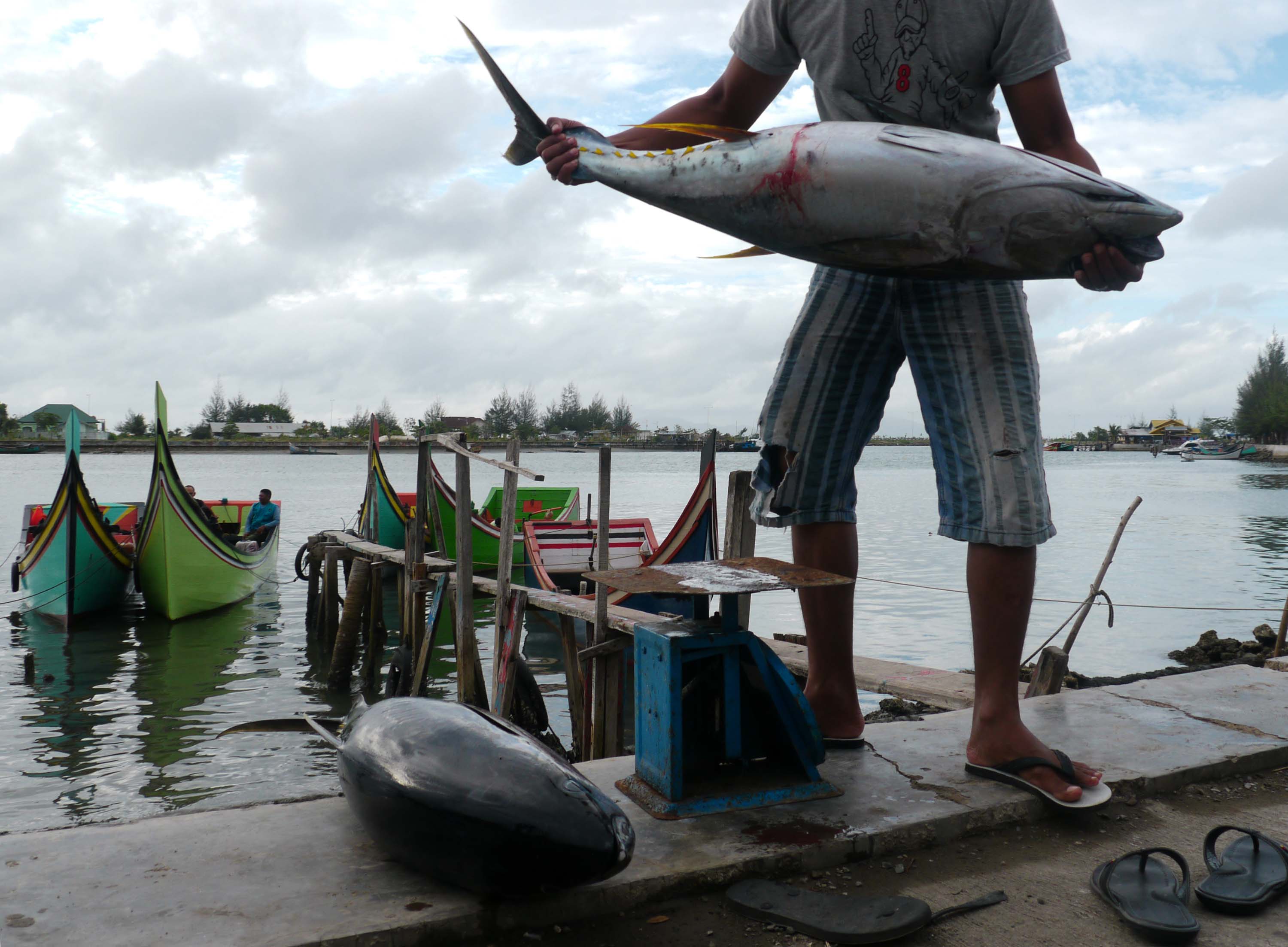 Nelayan mengangkat ikan tuna tangkapan nelayan pancing di pelabuhan Ulee Lheue, Banda Aceh