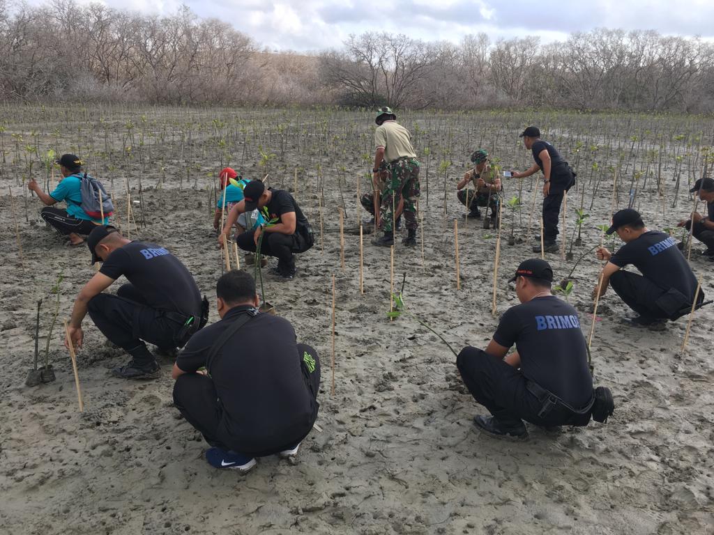 TNI, Polisi dan relawan di Bali menanam mangrove di Tanjung Benoa, Senin (7/10)