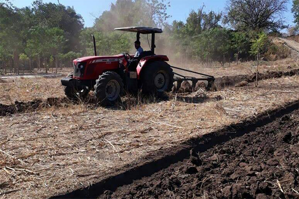 Seorang petani sedang membajak lahan menggunakan traktor di Kabupaten Lembata, NTT.