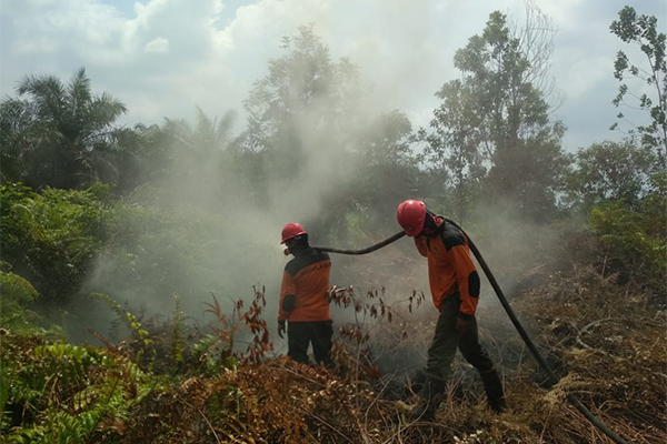 Status Tanggap Darurat Asap Karhutla Riau Dicabut