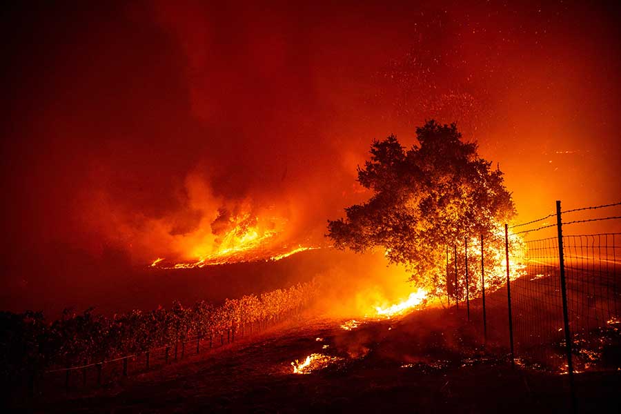 Kebakaran Hutan, 50 Ribu Warga California Dievakuasi